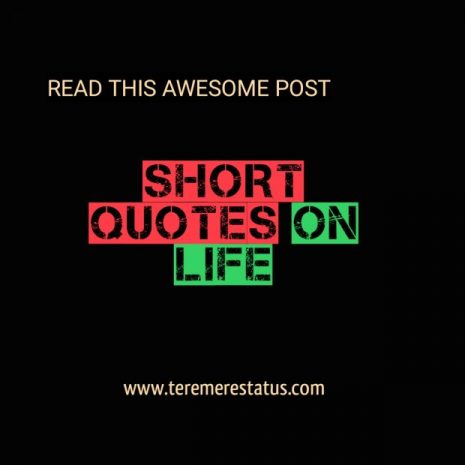 Short Quote on Life