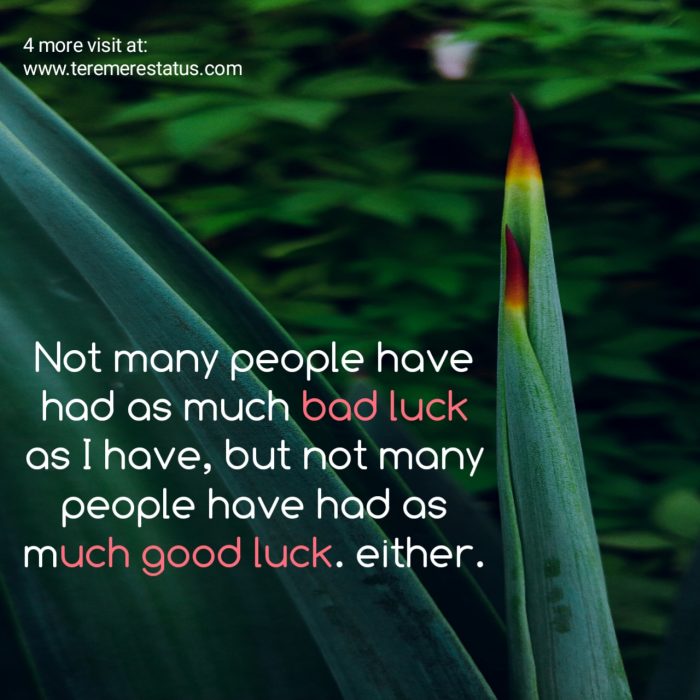 Good Luck Quotes