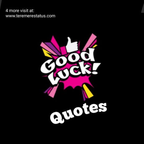 Good Luck Quotes