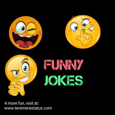 Funny Jokes with Images