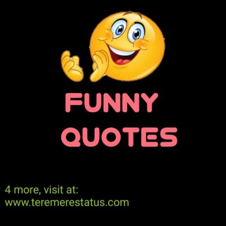 Funny Quotes