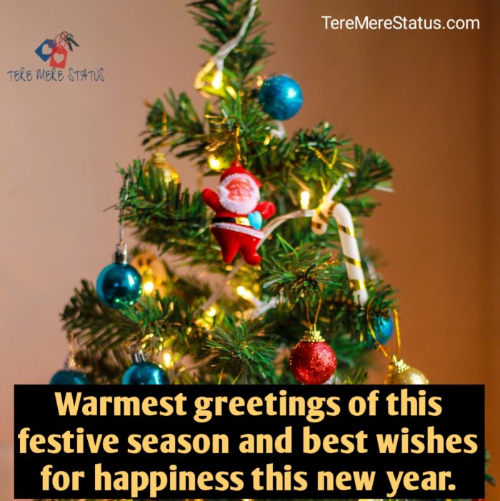 Christmas Wishes