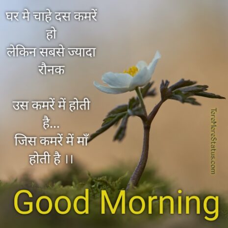 good morning flowers with messages in hindi