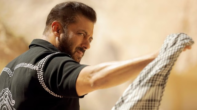 Tiger 3, Salman Khan, Tiger 3 Box Office Collection,