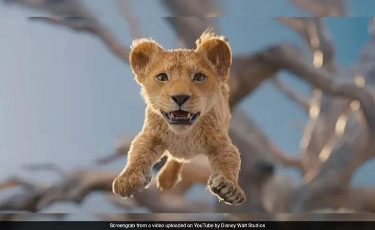 the lion king, mufasa, lion king, mufasa the lion king, if movie, barry jenkins, lion king 2019, lion king 2, blue ivy carter, lion king characters, lion king mufasa, mufasa lion king, blue ivy, mufasa meaning, who is mufasa in lion king, lion king villain, lion king cast, lion king characters name, the lion king 2 simba's pride, who is mufasa, rafiki lion king, mufasa trailer, the lion king 2024, disney mufasa, the lion king 3